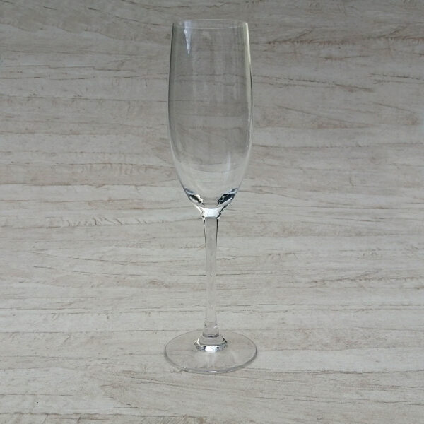 Tulip Champagneglas 24 cl